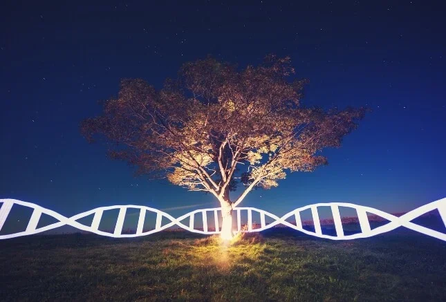 Industries: Life sciences industry new mexico