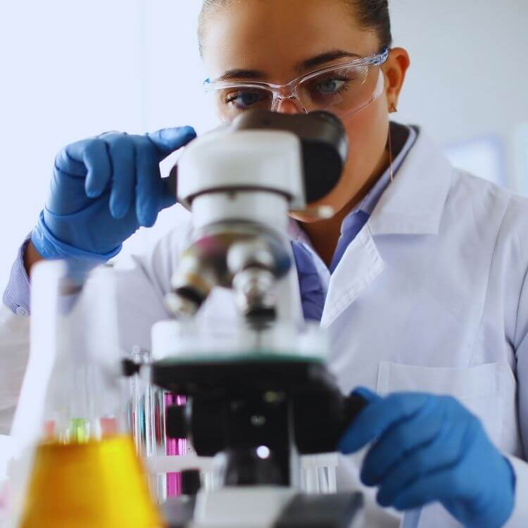 New Mexico skilled workforce talent pool