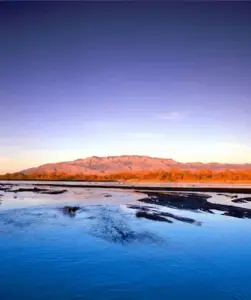 New Mexico Data New Mexico economic and demographic data