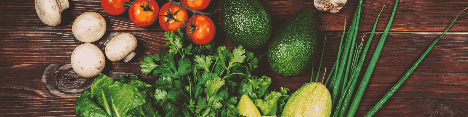 Economic Newsletter and Blog New Mexico