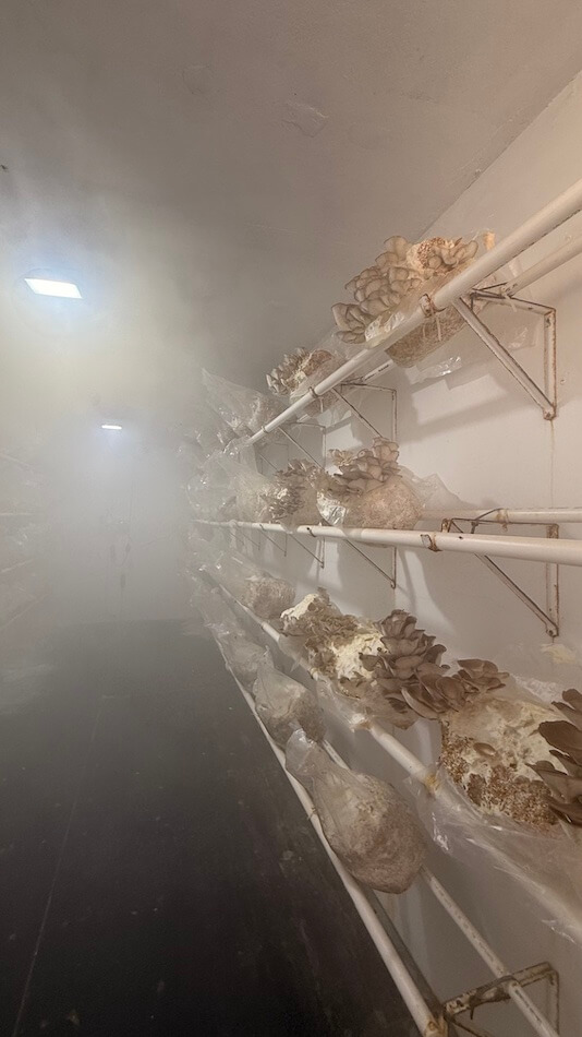 Agtech Efficiency and Closed-Loop Manufacturing: Scaling Kactus Brewing Co. in Sandoval County IMG 3556 sm